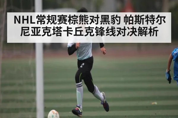 NHL常规赛棕熊对黑豹 帕斯特尔尼亚克塔卡丘克锋线对决解析