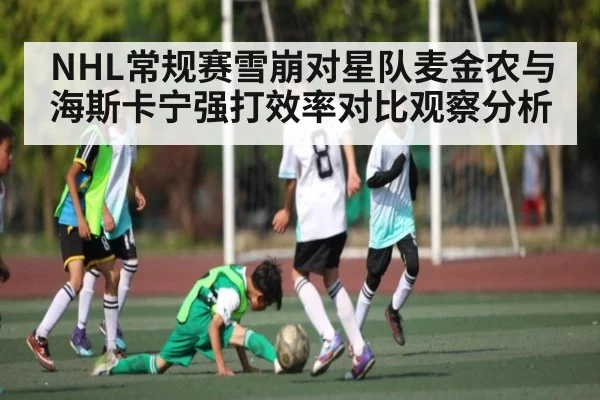 NHL常规赛雪崩对星队麦金农与海斯卡宁强打效率对比观察分析